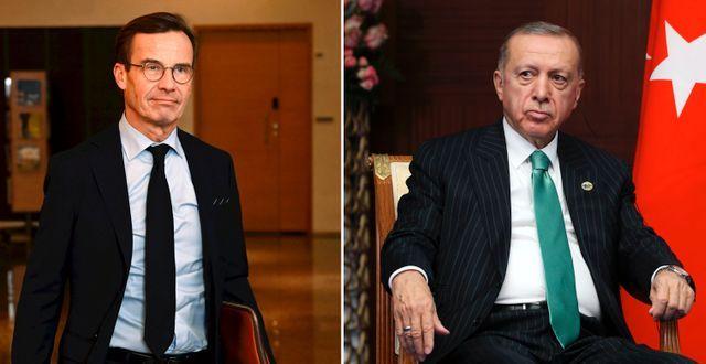 قبل اللقاء مع أردوغان.. نصائح لأولف كريسترسون بعدم الرضوخ لأوامره
