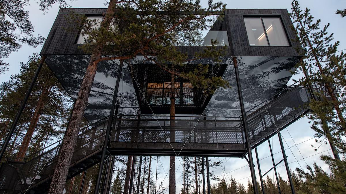  فندق الأشجار في السويد