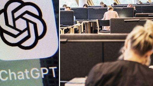 جامعة سويدية