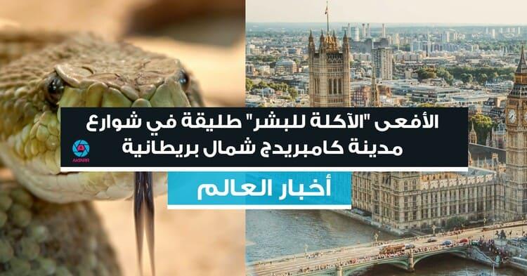 الأفعى "الآكلة للبشر" طليقة في مدينة كامبريدج شمال بريطانية