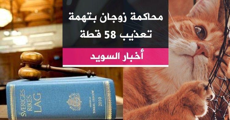 محاكمة زوجان بتهمة تعذيب 58 قطة
