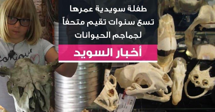 طفلة سويدية عمرها تسع سنوات تقيم متحفاً لجماجم الحيوانات