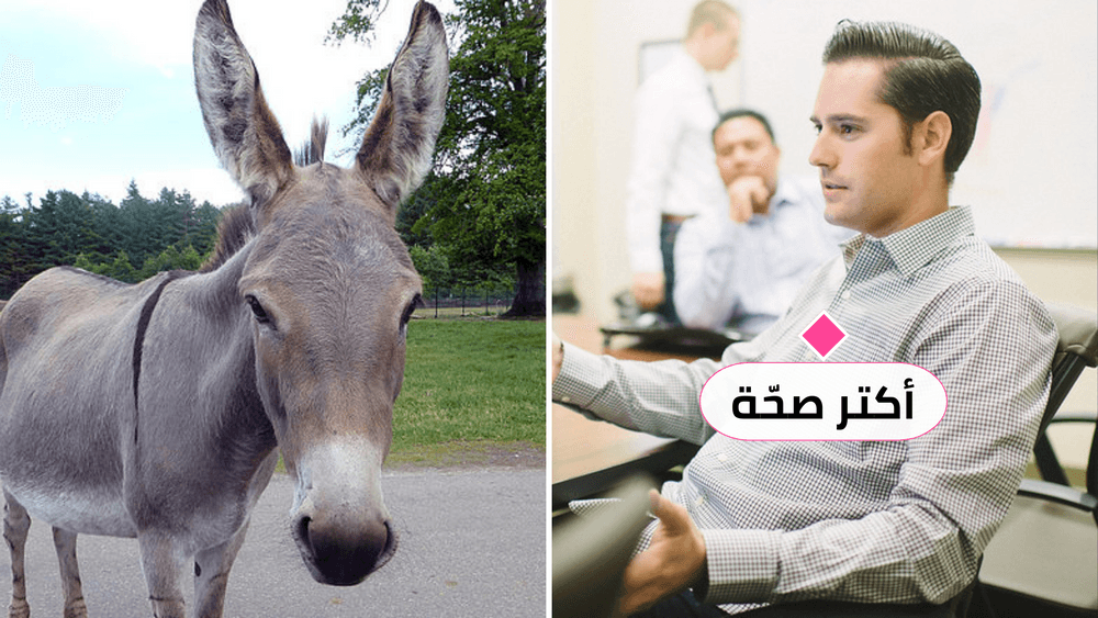 صديقك "يتفهمن" دائماً؟ يمكننا إخبارك السبب