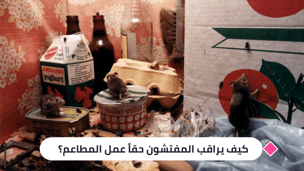 
من مكافحة الحشرات إلى تبريد اللحوم 
كيف يراقب المفتشون عمل المطاعم؟
