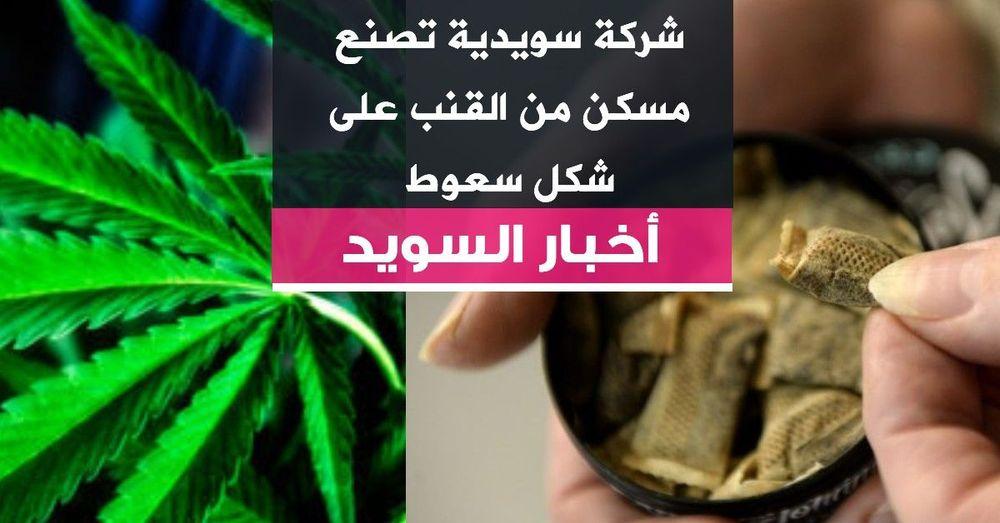 شركة سويدية تصنع مسكن من القنب على شكل سعوط