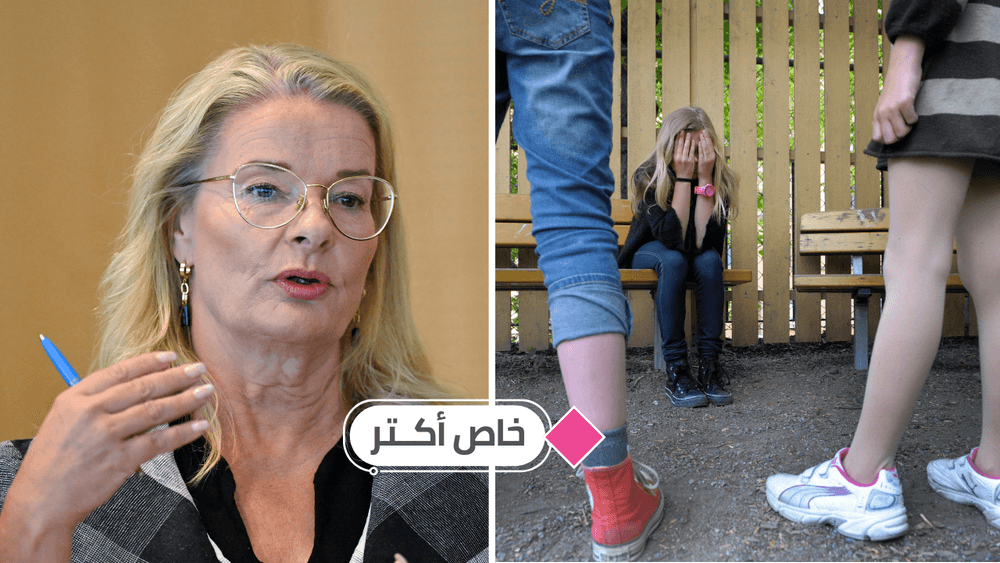 مدارس السويد