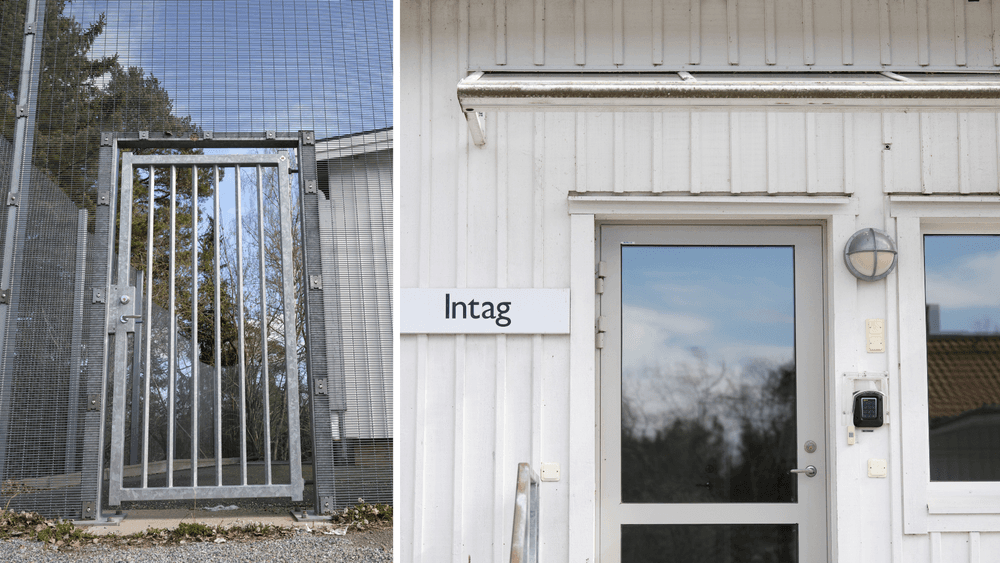  مؤسسات رعاية الشباب 