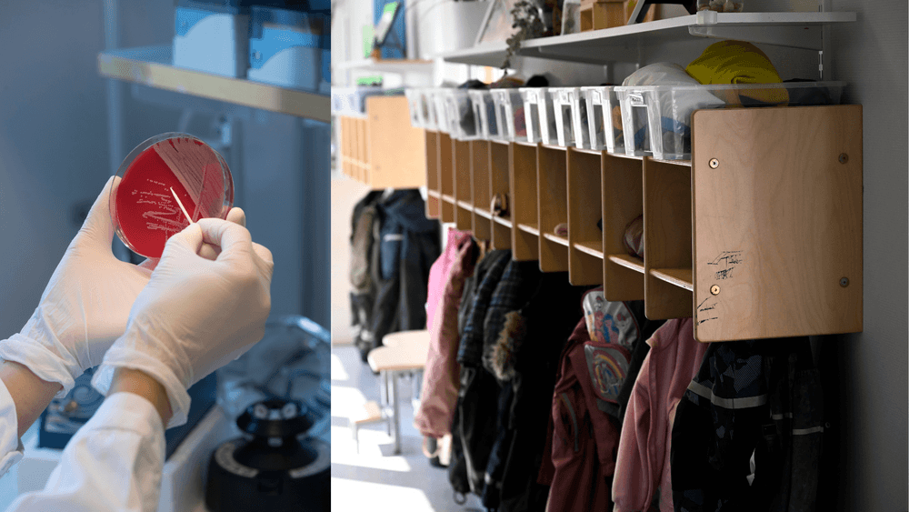 ببكتيريا المكورات السحائية في روضة أطفال