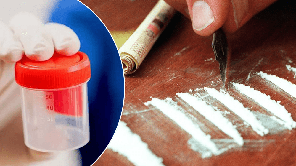 شركة سويدية 