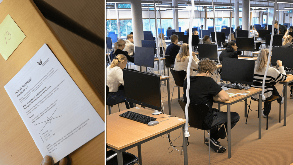 الحكومة السويدية،