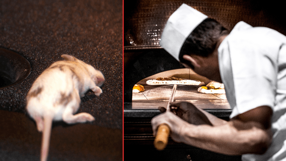 مفتشو البيئة 