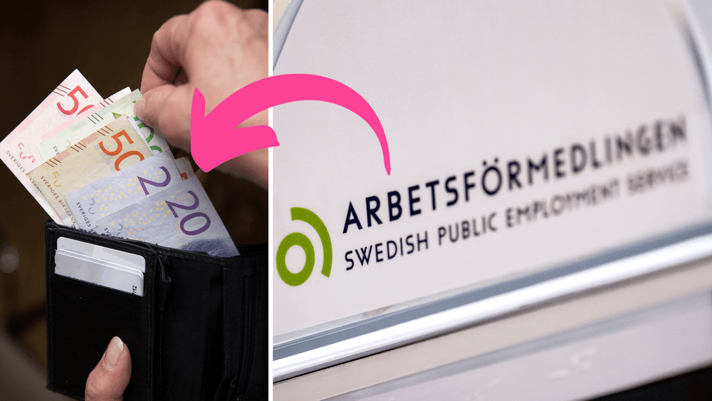  الحكومة السويدية بطالة