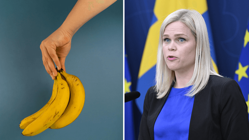 وزيرة المساواة