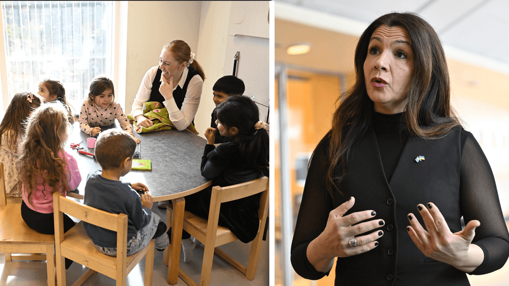 نسقة الحكومة السويدية