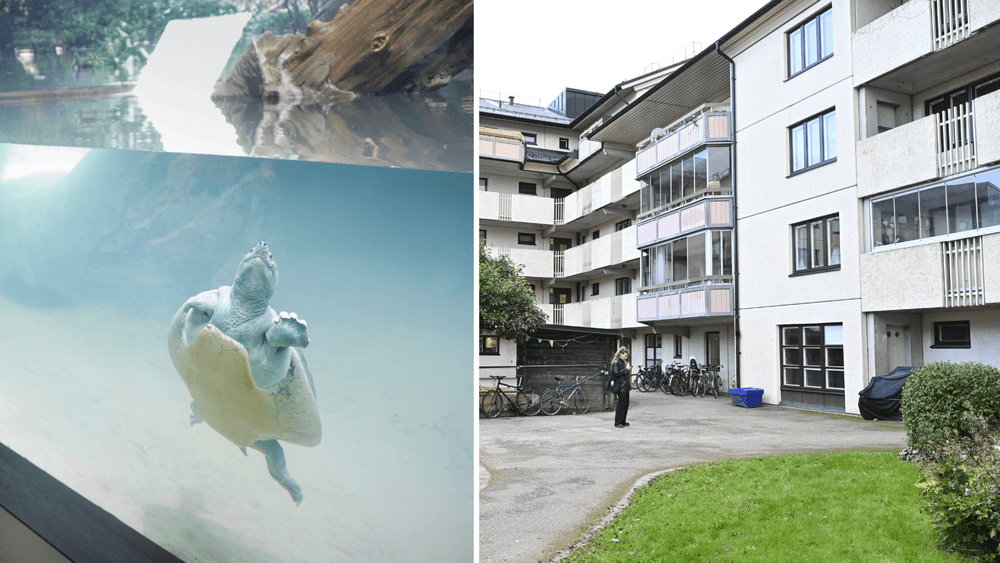 مدينة مالمو الجدل