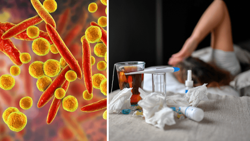 الميكوبلازما