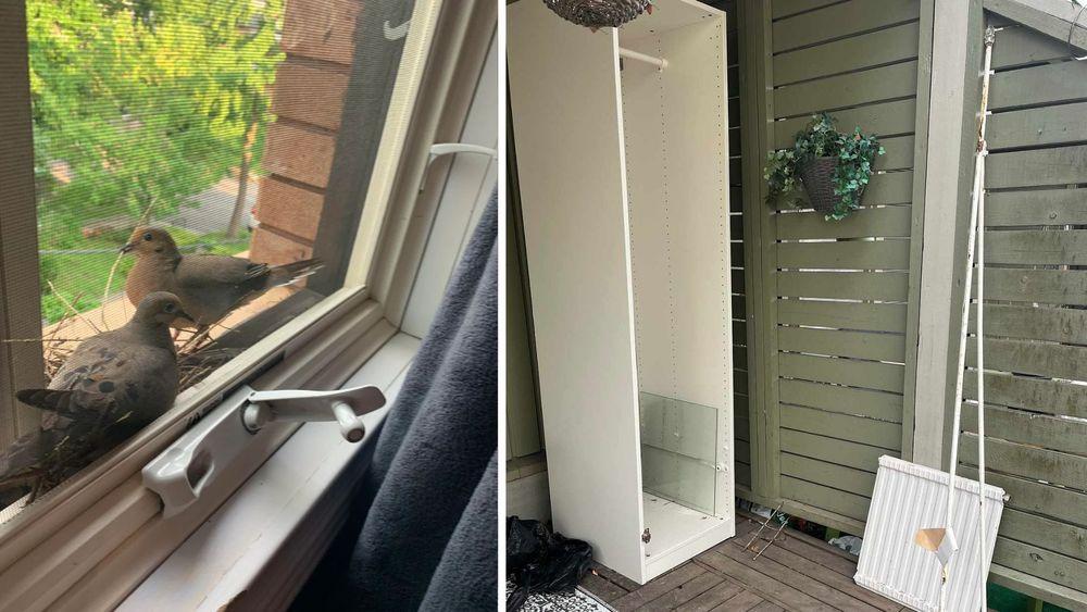  فسخ عقد الإيجار