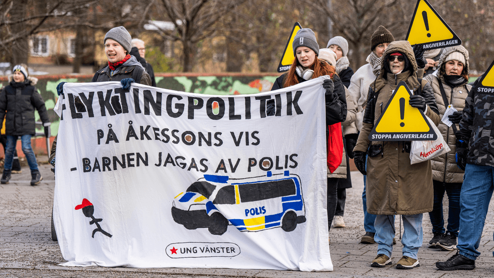 الحكومة السويدية وحزب ديمقراطيو السويد