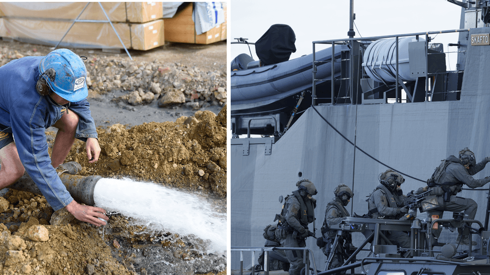  القوات المسلحة السويدية