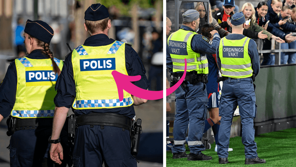  الحكومة السويدية 