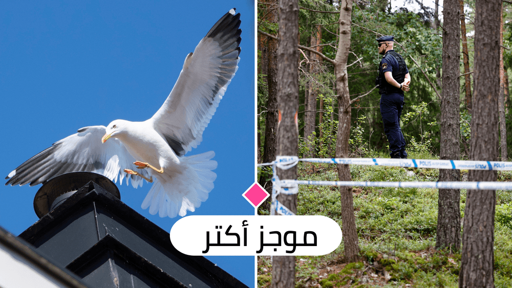أهم الأخبار ليوم الأربعاء 27 تموز 2022
