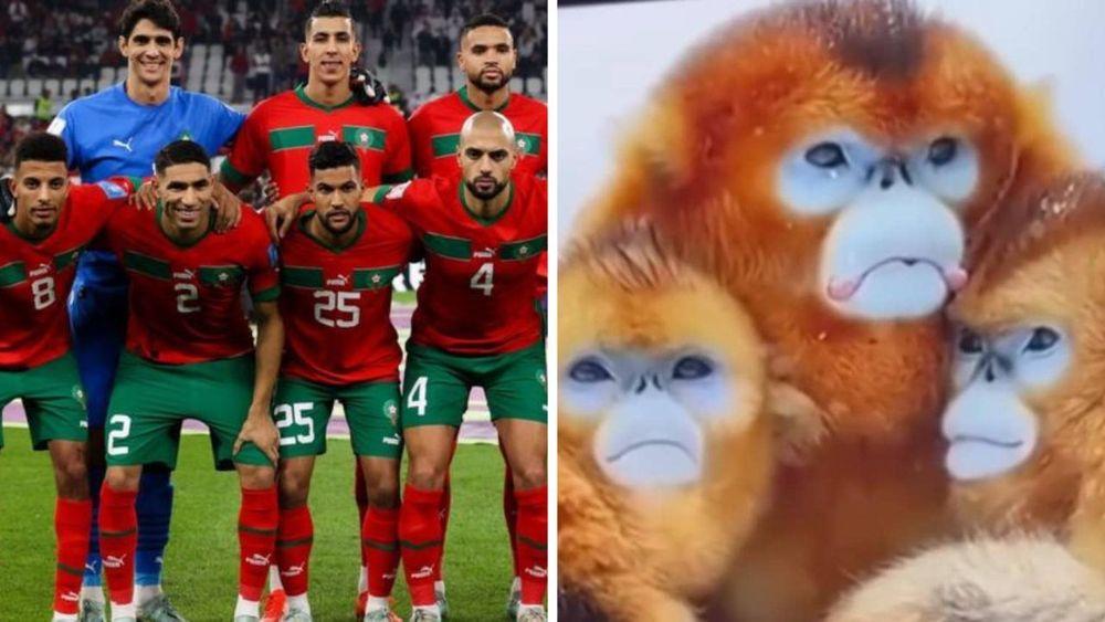 مونديال قطر 2022