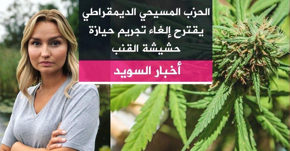 الحزب المسيحي الديمقراطي يقترح إلغاء تجريم حيازة حشيشة القنب