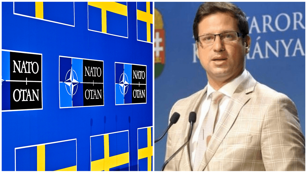 عضوية السويد في الناتو