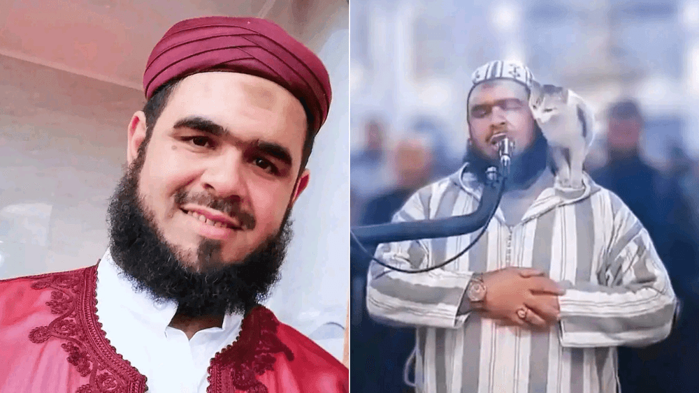 فيديو القطة والإمام