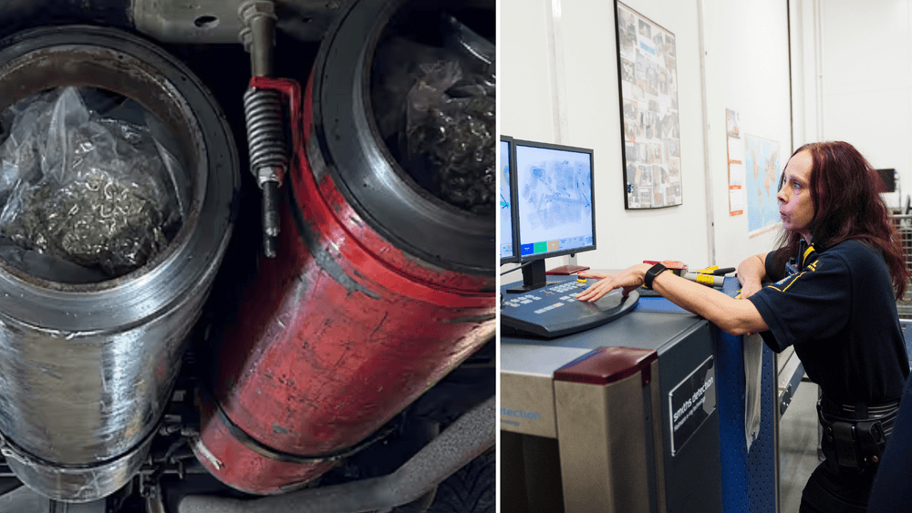 الجمارك السويدية