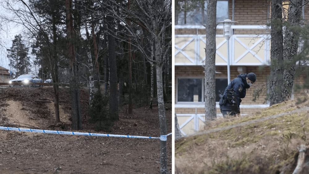  قنابل يدوية