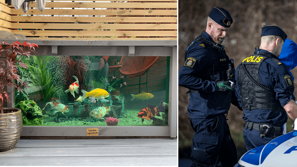  مدرسة ريسبيرسكا في أوربرو