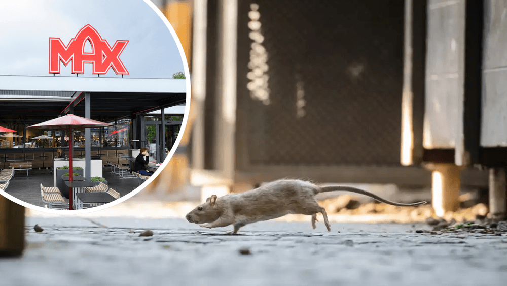 مطاعم الوجبات السريعة الشهيرة في السويد