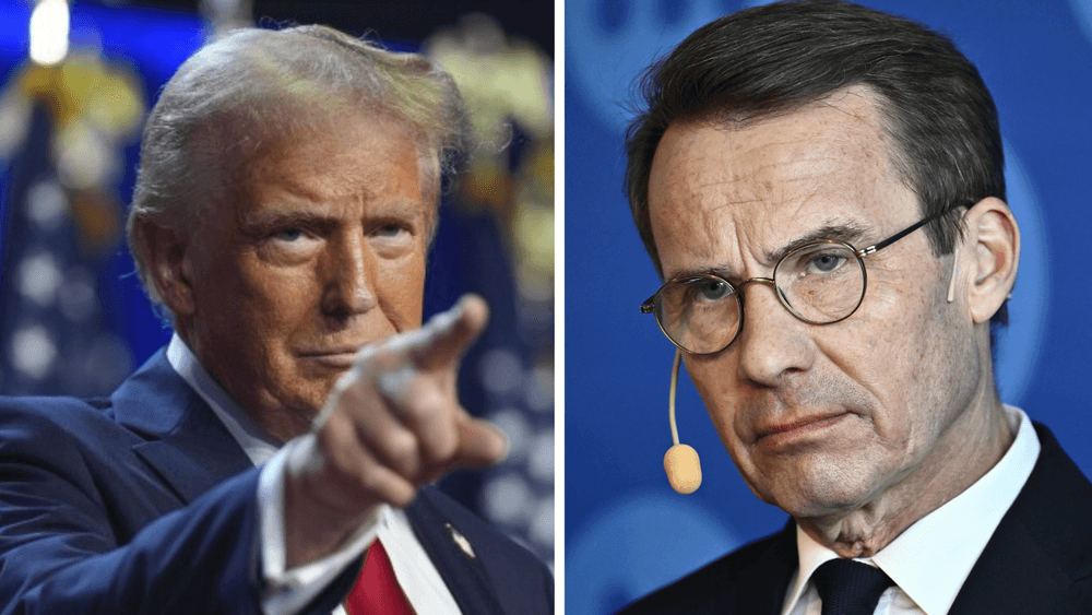 الولايات المتحدة 