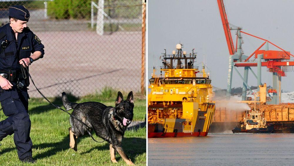 تهريب مخدرات في يوتيبوري