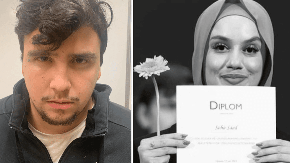  محكمة الاستئناف في السويد