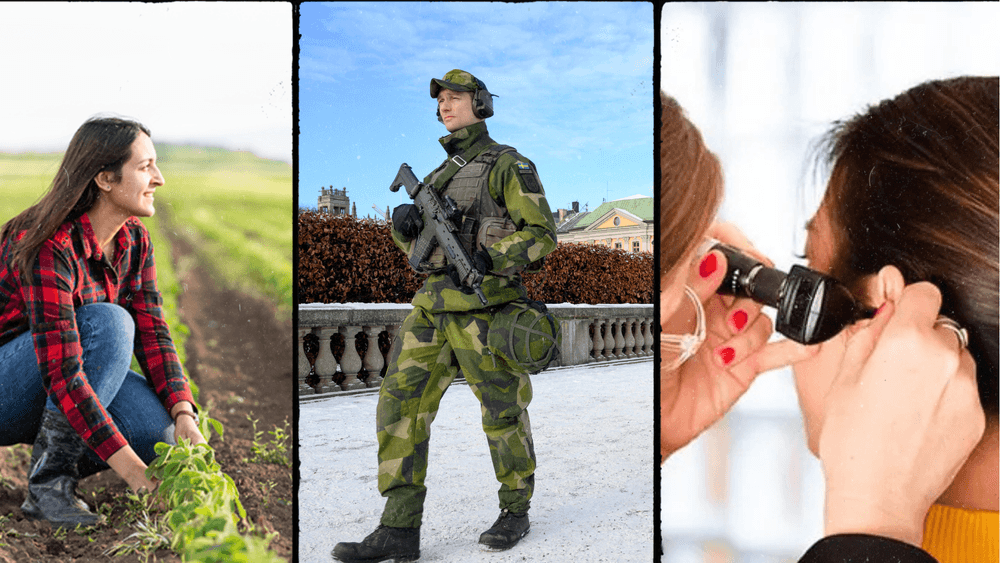 موسم التقديم للجامعات والكليات السويدية