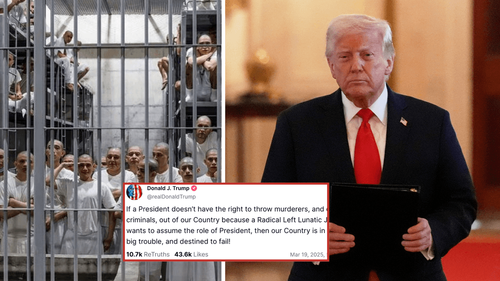 الرئيس الأمريكي دونالد ترامب