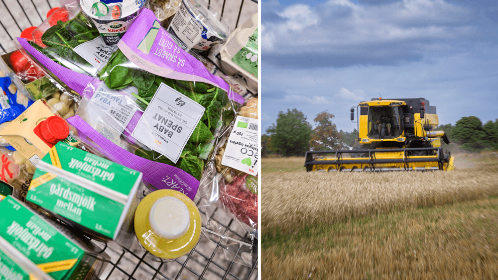  أسعار المنتجات الغذائية