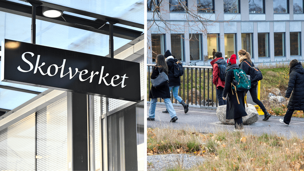  البرامج المهنية في المدارس الثانوية السويدية