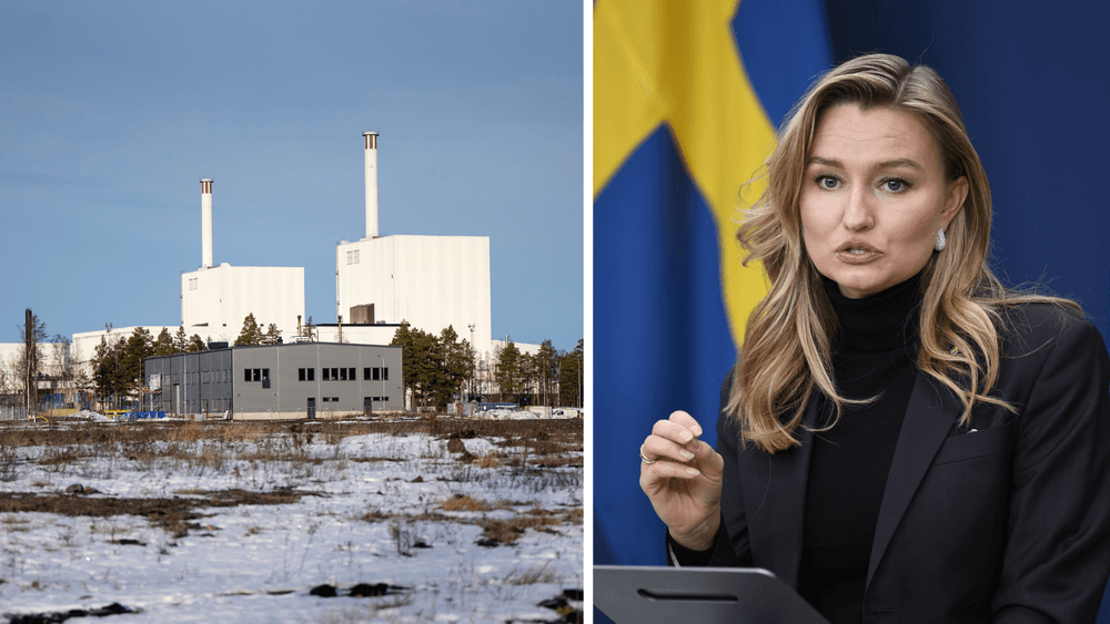 لجنة حكومية سويدية