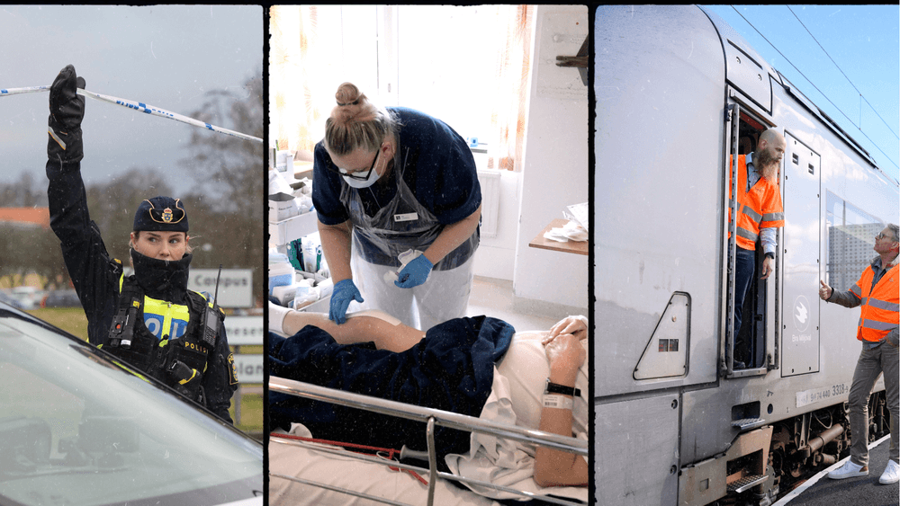 المهن التي يمكنك دراستها في السويد