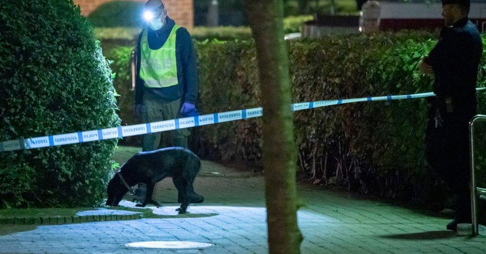 اعتقال رجل يبلغ من العمر 64 عاماً بتهمة إطلاق نار