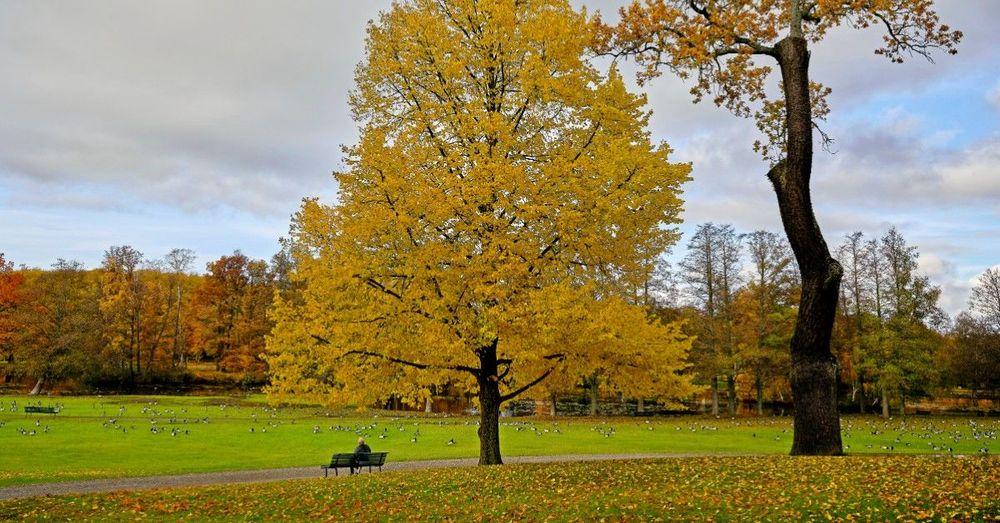 أجواء مشمسة ودافئة حتى الأسبوع المقبل