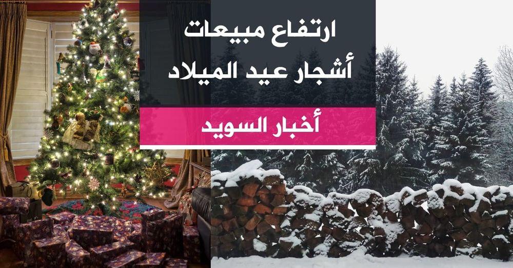 ارتفاع مبيعات أشجار عيد الميلاد