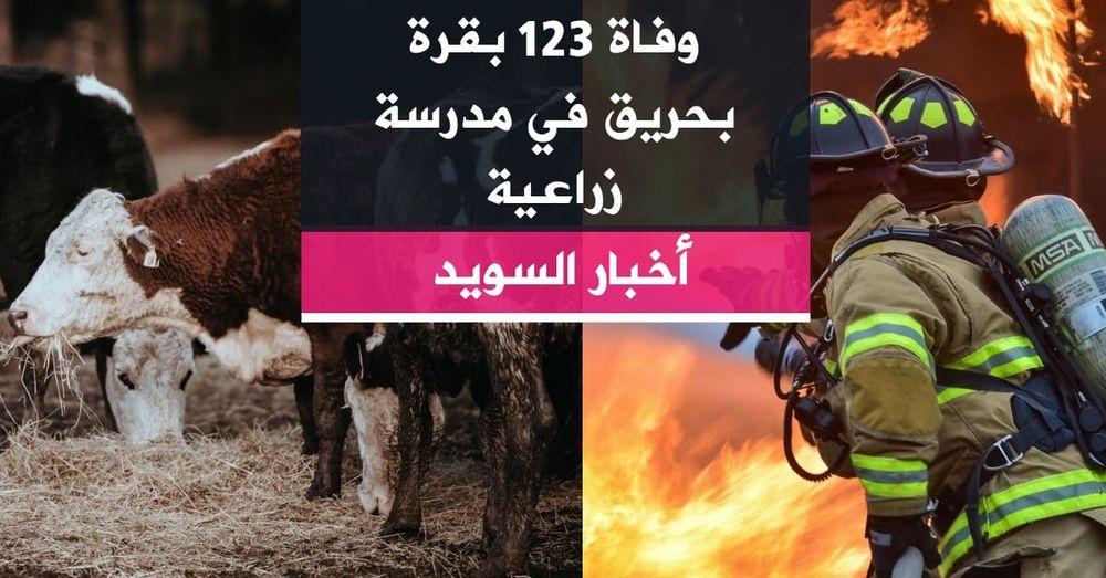 وفاة 123 بقرة بحريق في مدرسة زراعية
