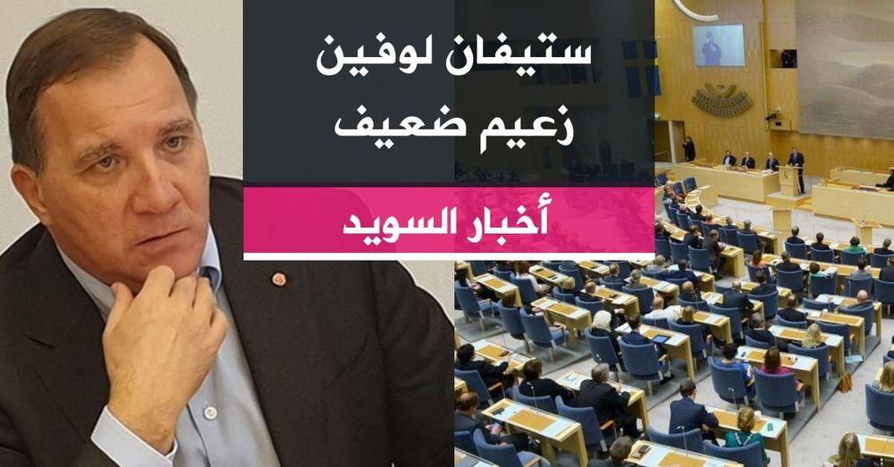 ستيفان لوفين زعيم ضعيف