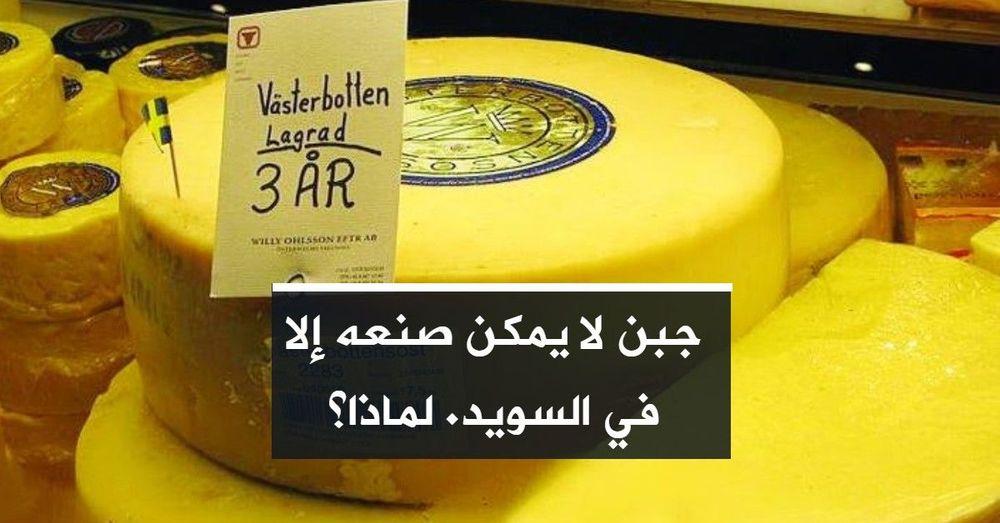 جبن لا يمكن صنعه إلا في السويد. لماذا؟