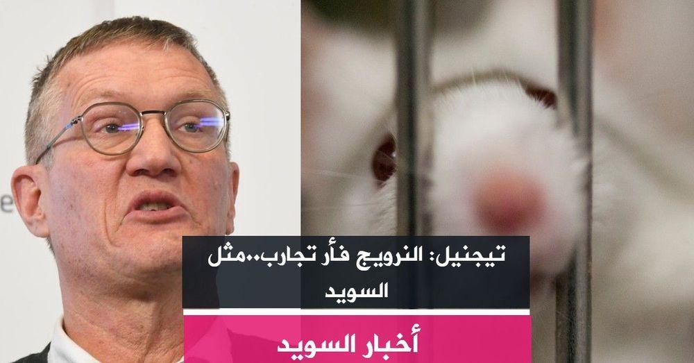 تيجنيل: النرويج فأر تجارب..مثل السويد
