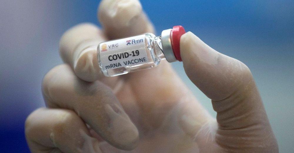 السويد قد تحصل على 6 ملايين جرعة من اللقاح ضد كورونا